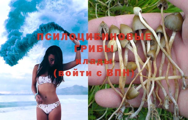 мескалин Каменка