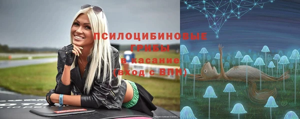 марки lsd Инсар