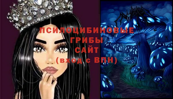 MDMA Premium VHQ Иннополис