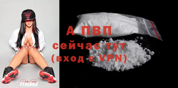 2c-b Инта
