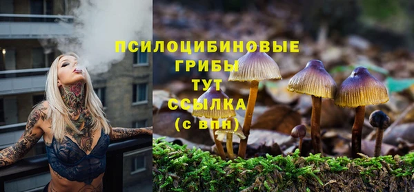 2c-b Инта