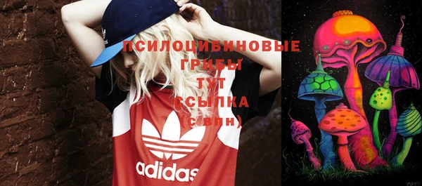 мескалин Каменка