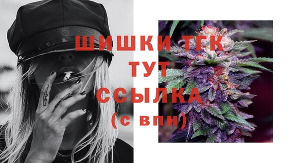 2c-b Инта