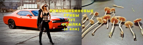 мескалин Каменка